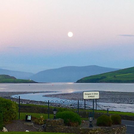 Coastline House Bed & Breakfast Dingle Exterior foto